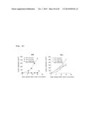 IMMUNOTHERAPY USING ALLO-NKT CELLS, CELLS FOR IMMUNOTHERAPY IN WHICH ALPHA     CHAIN OF T-CELL RECEPTOR (TCR) GENE HAS BEEN REARRANGED TO UNIFORM     V-ALPHA-J-ALPHA, AND BANKING OF NKT CELLS DERIVED FROM SAID CELLS diagram and image