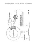 Compositions and Methods for Wound Healing diagram and image