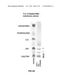 Compositions and Methods for Wound Healing diagram and image