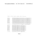 FLAVIVIRUS DOMAIN III VACCINE diagram and image