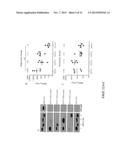 FLAVIVIRUS DOMAIN III VACCINE diagram and image