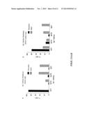 FLAVIVIRUS DOMAIN III VACCINE diagram and image