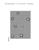 Modified Lipids Produced from Oil-Bearing Microbial Biomass and Oils diagram and image