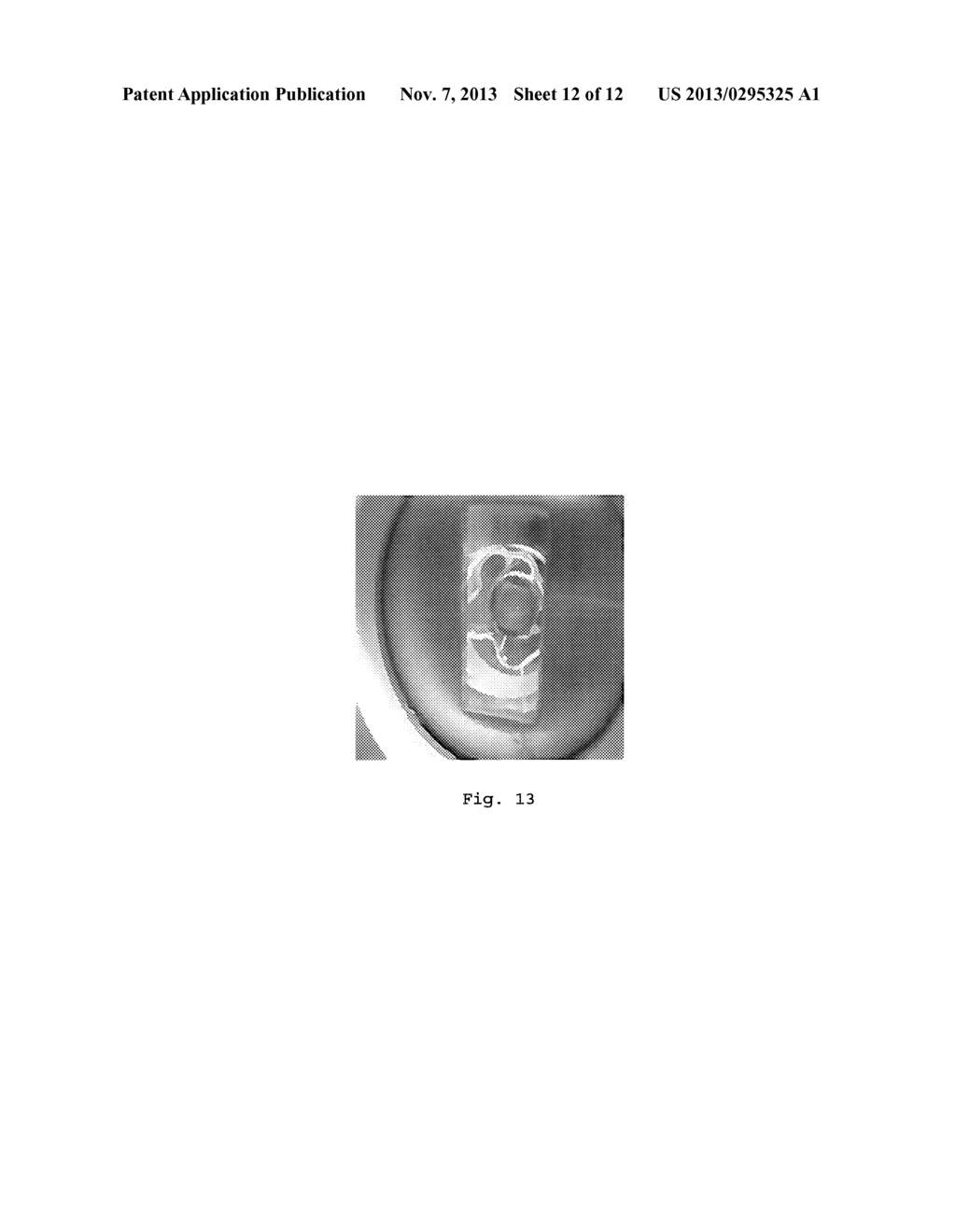 METHOD OF FORMING A POLYMER SUBSTRATE WITH VARIABLE REFRACTIVE INDEX     SENSITIVITY - diagram, schematic, and image 13