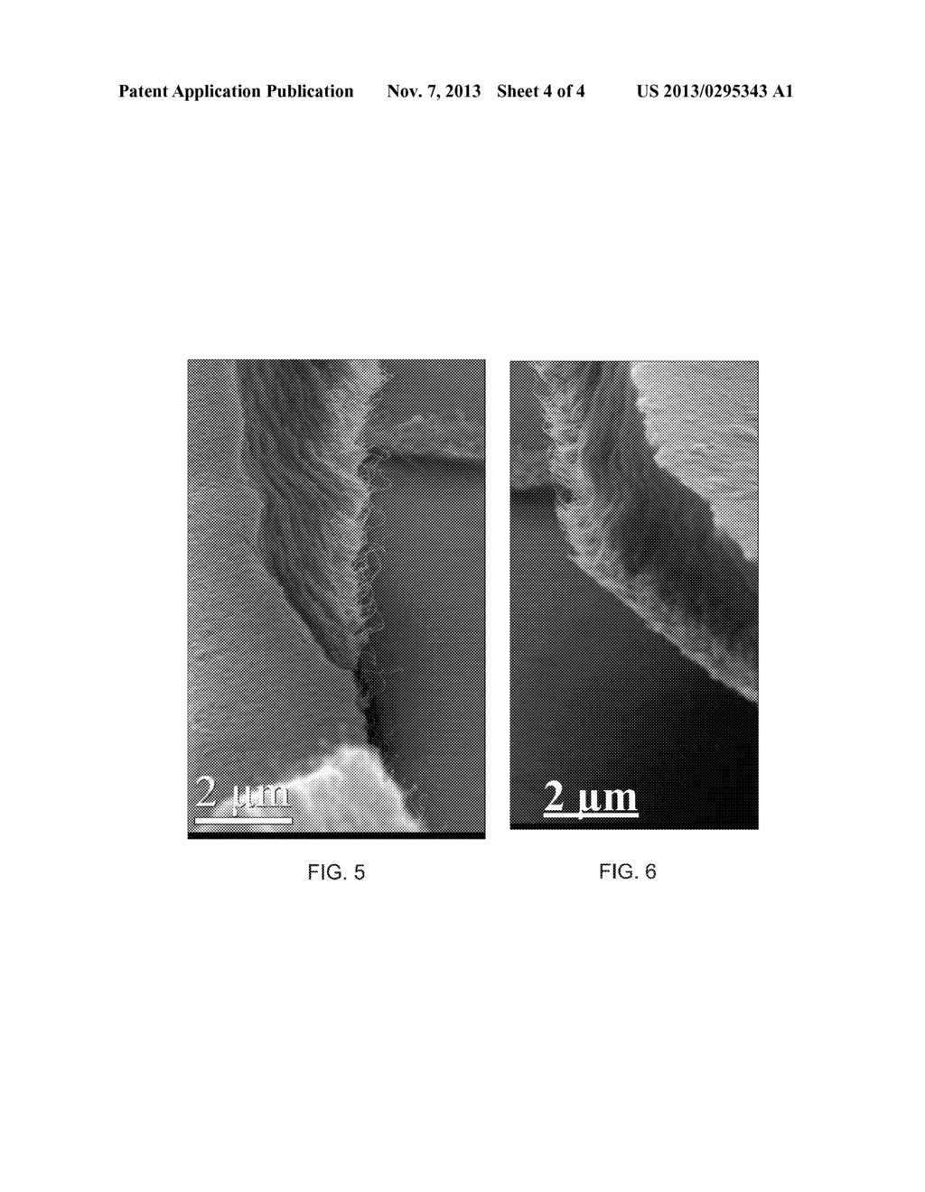 VERTICALLY ALIGNED ARRAY OF CARBON NANOTUBES - diagram, schematic, and image 05