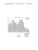 POLYMERASE diagram and image