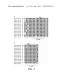 POLYMERASE diagram and image