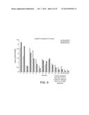 POLYMERASE diagram and image