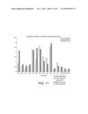 POLYMERASE diagram and image