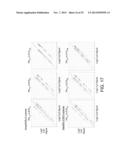 POLYMERASE diagram and image