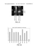 POLYMERASE diagram and image