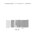 POLYMERASE diagram and image