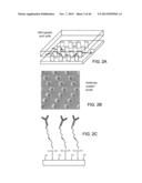 RARE CELL ANALYSIS USING SAMPLE SPLITTING AND DNA TAGS diagram and image