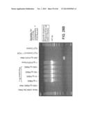 RARE CELL ANALYSIS USING SAMPLE SPLITTING AND DNA TAGS diagram and image