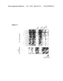 EPIGENOMIC INDUCED PLURIPOTENT STEM CELL SIGNATURES diagram and image