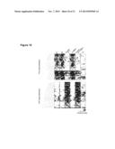 EPIGENOMIC INDUCED PLURIPOTENT STEM CELL SIGNATURES diagram and image