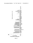 MARKER OF BREAST TUMORS FROM THE LUMINAL-B SUBTYPE diagram and image