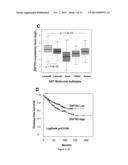 MARKER OF BREAST TUMORS FROM THE LUMINAL-B SUBTYPE diagram and image