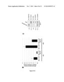 MARKER OF BREAST TUMORS FROM THE LUMINAL-B SUBTYPE diagram and image