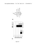 MARKER OF BREAST TUMORS FROM THE LUMINAL-B SUBTYPE diagram and image