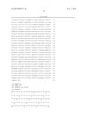 MARKER OF BREAST TUMORS FROM THE LUMINAL-B SUBTYPE diagram and image