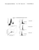 PAN-KINASE ACTIVATION AND EVALUATION OF SIGNALING PATHWAYS diagram and image