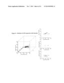 PAN-KINASE ACTIVATION AND EVALUATION OF SIGNALING PATHWAYS diagram and image