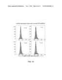 PAN-KINASE ACTIVATION AND EVALUATION OF SIGNALING PATHWAYS diagram and image