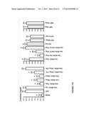 NGAL FOR DIAGNOSIS OF RENAL CONDITIONS diagram and image