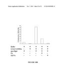 NGAL FOR DIAGNOSIS OF RENAL CONDITIONS diagram and image