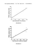 NGAL FOR DIAGNOSIS OF RENAL CONDITIONS diagram and image