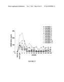 NGAL FOR DIAGNOSIS OF RENAL CONDITIONS diagram and image