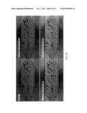 Systems and Methods for Testing Drugs and Drug Delivery Systems diagram and image