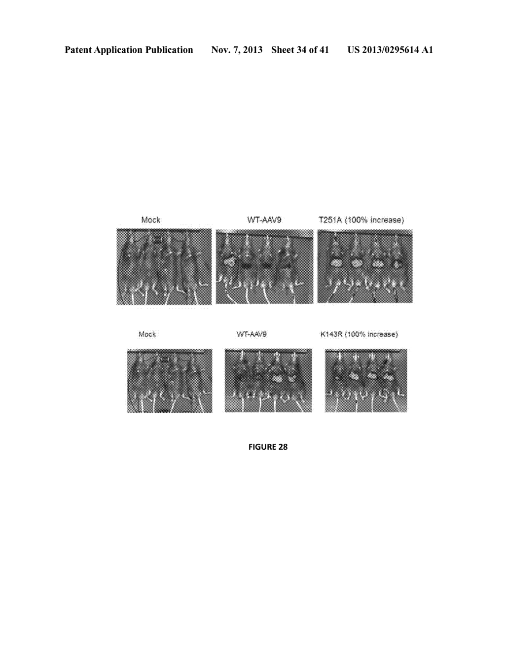 NUCLEOTIDE SEQUENCES, METHODS, KIT AND A RECOMBINANT CELL THEREOF - diagram, schematic, and image 35