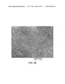 PROCESSING BIOMASS diagram and image