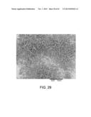 PROCESSING BIOMASS diagram and image