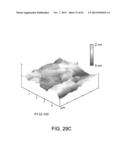 PROCESSING BIOMASS diagram and image