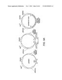 COMBINATORIAL DESIGN OF HIGHLY EFFICIENT HETEROLOGOUS PATHWAYS diagram and image