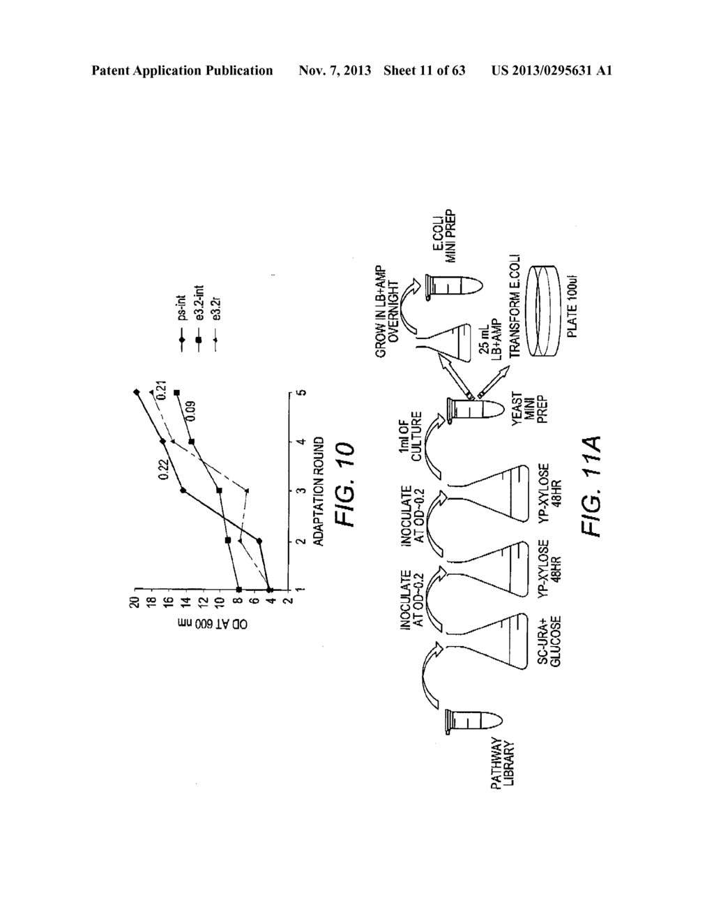 COMBINATORIAL DESIGN OF HIGHLY EFFICIENT HETEROLOGOUS PATHWAYS - diagram, schematic, and image 12