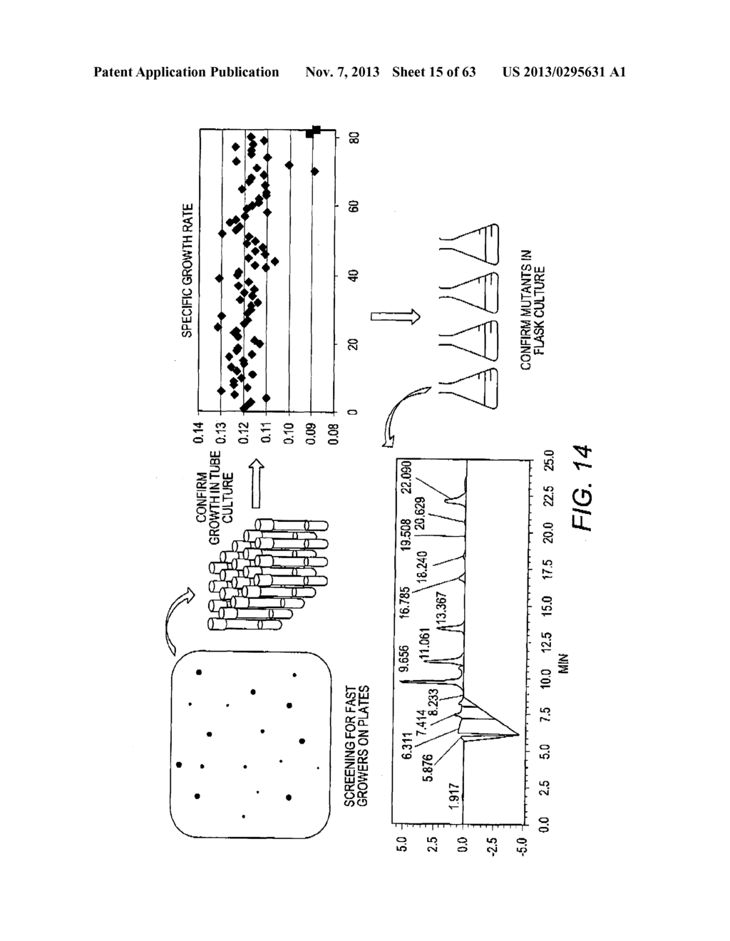 COMBINATORIAL DESIGN OF HIGHLY EFFICIENT HETEROLOGOUS PATHWAYS - diagram, schematic, and image 16