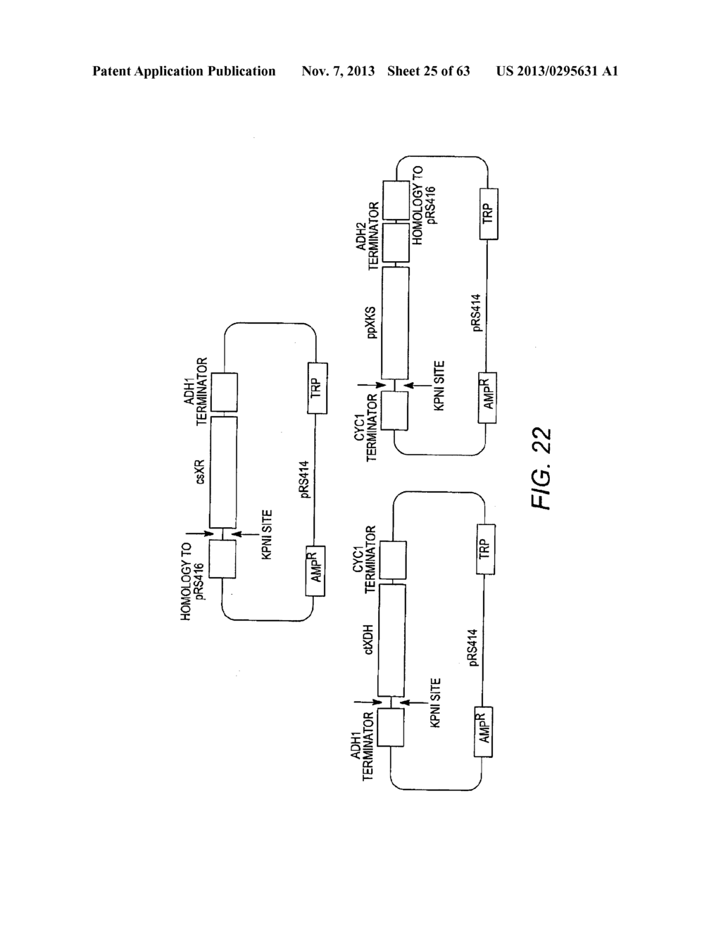 COMBINATORIAL DESIGN OF HIGHLY EFFICIENT HETEROLOGOUS PATHWAYS - diagram, schematic, and image 26