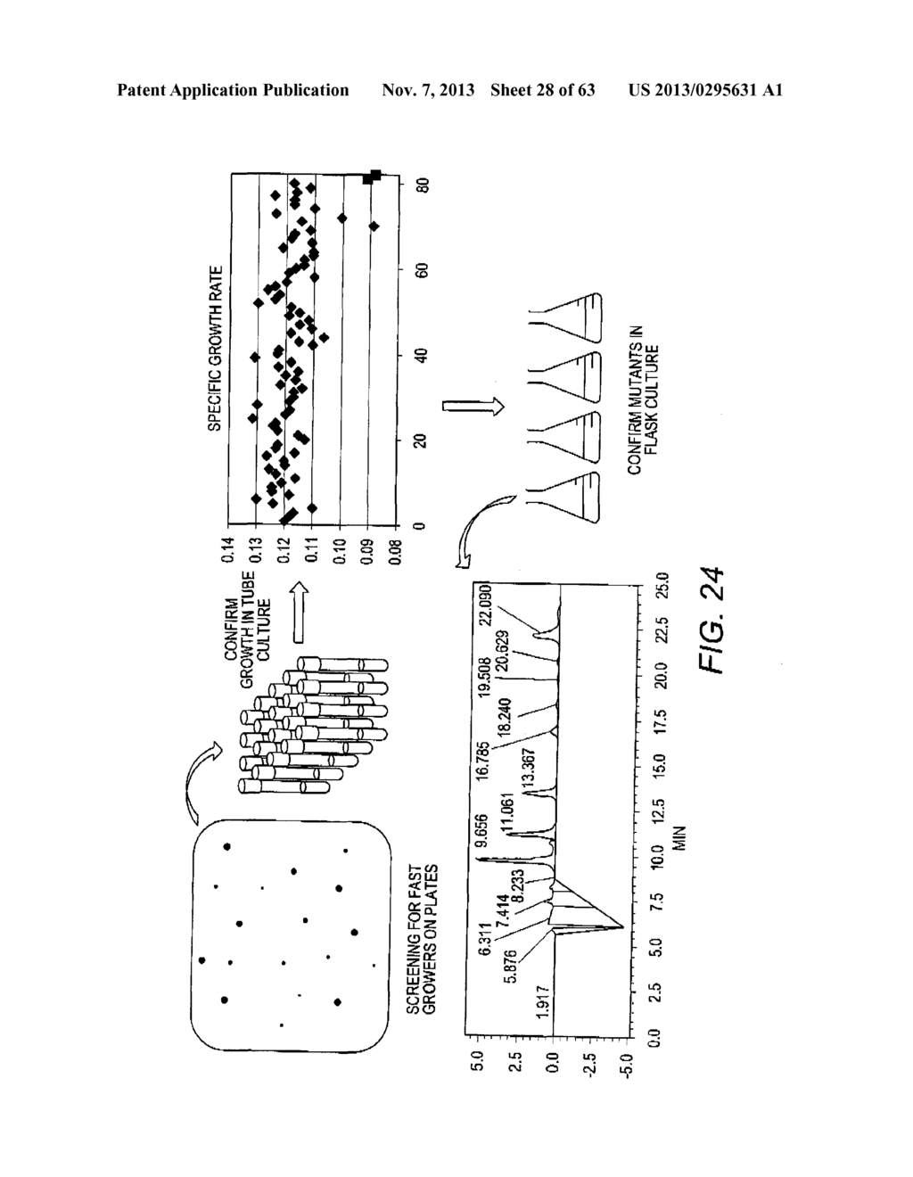 COMBINATORIAL DESIGN OF HIGHLY EFFICIENT HETEROLOGOUS PATHWAYS - diagram, schematic, and image 29