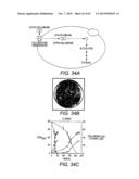 COMBINATORIAL DESIGN OF HIGHLY EFFICIENT HETEROLOGOUS PATHWAYS diagram and image