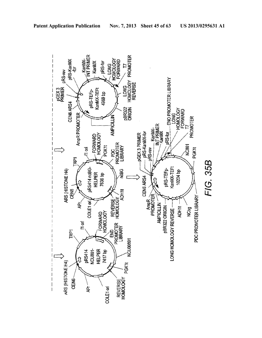 COMBINATORIAL DESIGN OF HIGHLY EFFICIENT HETEROLOGOUS PATHWAYS - diagram, schematic, and image 46