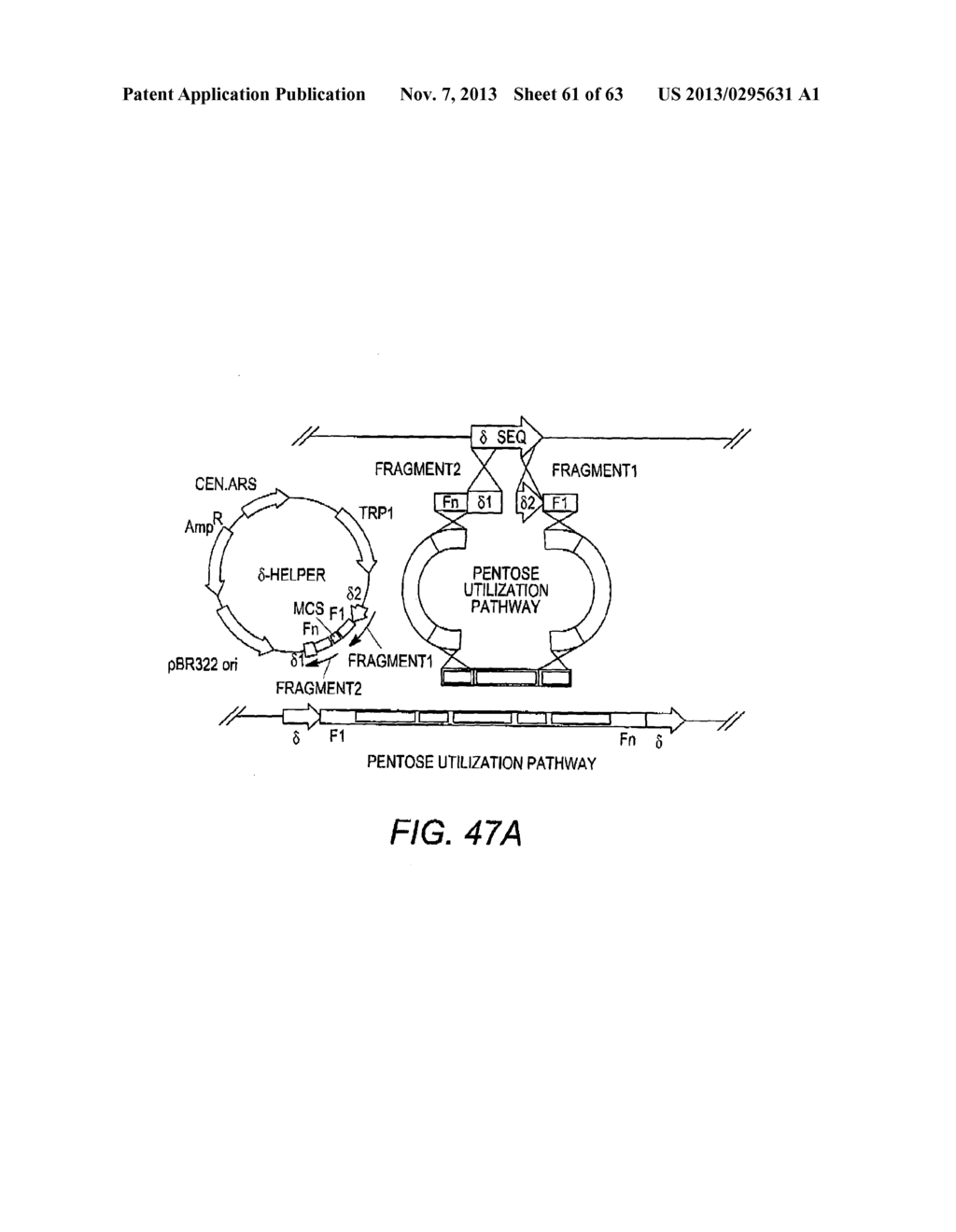 COMBINATORIAL DESIGN OF HIGHLY EFFICIENT HETEROLOGOUS PATHWAYS - diagram, schematic, and image 62