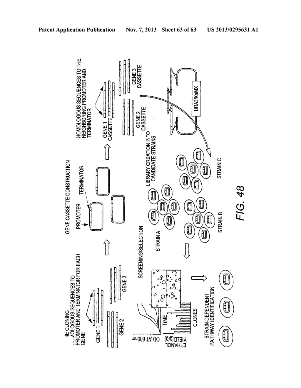 COMBINATORIAL DESIGN OF HIGHLY EFFICIENT HETEROLOGOUS PATHWAYS - diagram, schematic, and image 64