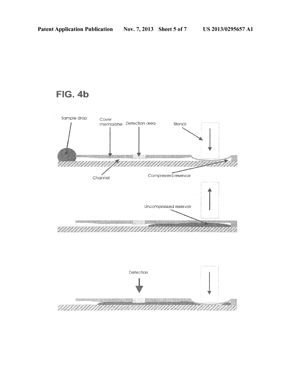 Device and Method for the Detection of Particles - diagram, schematic, and image 06