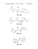 Apparatus and Method for Growing Cells diagram and image