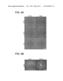 CHEMICALLY-DEFINED ARRAYS FOR SCREENING CELL-SUBSTRATE INTERACTIONS diagram and image