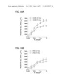 CHEMICALLY-DEFINED ARRAYS FOR SCREENING CELL-SUBSTRATE INTERACTIONS diagram and image